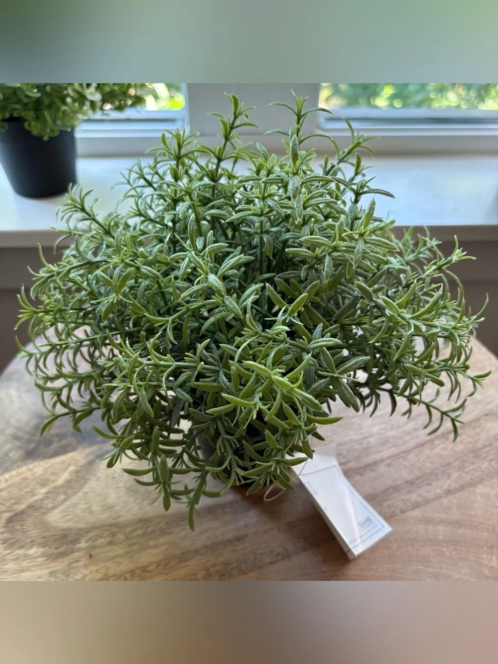 3 IKEA Artificial Plants Bundle FEJKA